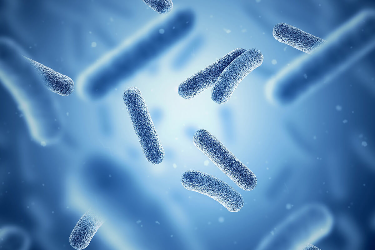 Water Problems bacteria